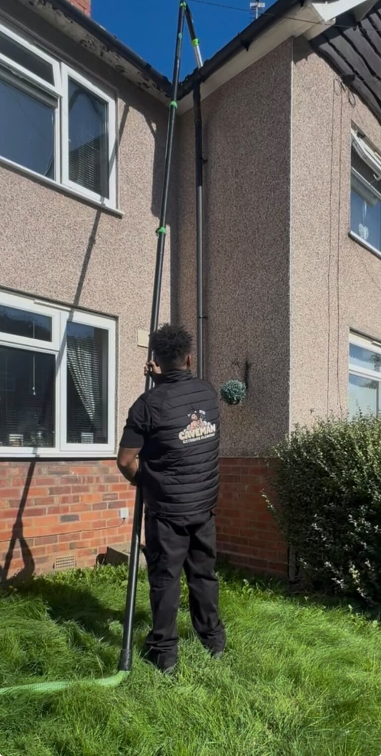 Caveman Exterior Cleaning job photo