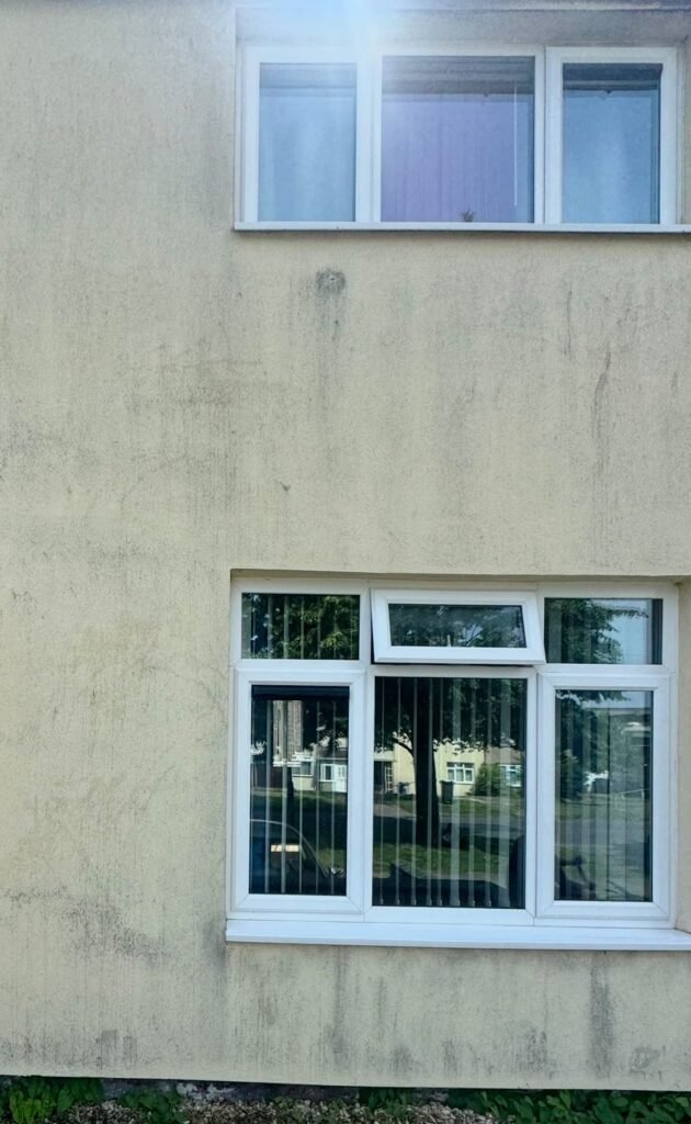 Soft Washing by Caveman Exterior Cleaning